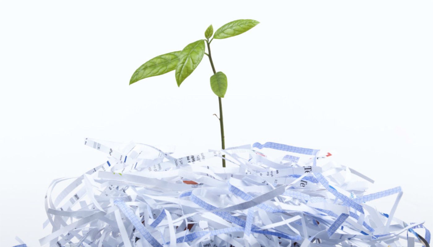 papír, környezetvédelem, papírgyártás, újrahasznosítás