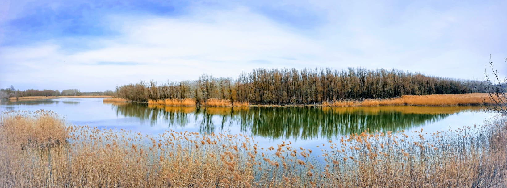 Kirándulás Baján és környékén | Petőfi-sziget, Pandúr-sziget és Gemenc